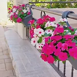 Lavanda Appartamento Vodice