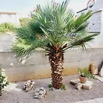 Lavanda Vodice