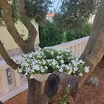 Lavanda Vodice