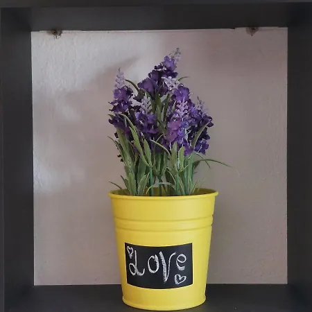 Apartment Lavanda *