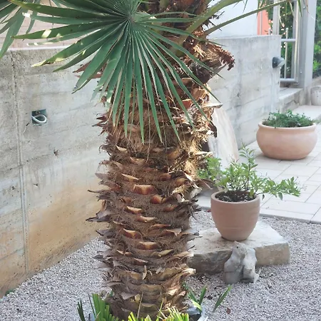 Apartament Lavanda