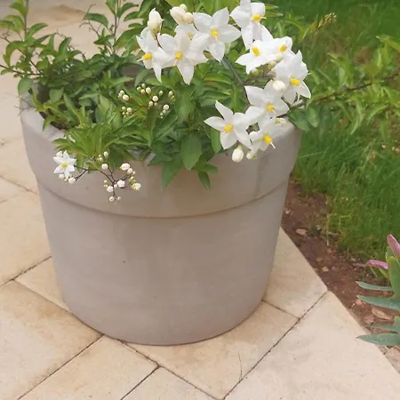 Apartment Lavanda Vodice