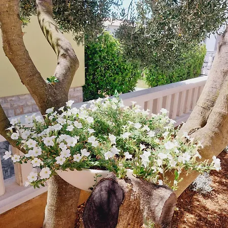 Lavanda Apartament *