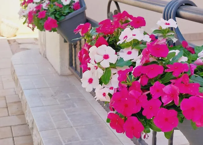 Lavanda Appartement Vodice