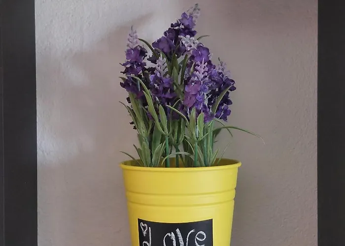 Διαμέρισμα Lavanda *